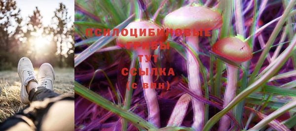 ПСИЛОЦИБИНОВЫЕ ГРИБЫ Белокуриха