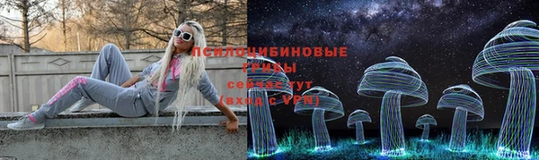 ПСИЛОЦИБИНОВЫЕ ГРИБЫ Белокуриха