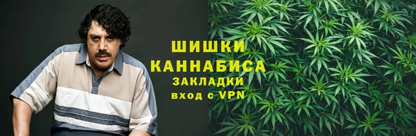 ПСИЛОЦИБИНОВЫЕ ГРИБЫ Белокуриха