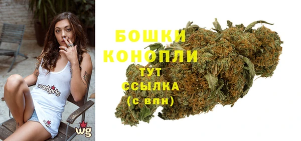 ПСИЛОЦИБИНОВЫЕ ГРИБЫ Белокуриха