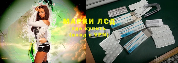 ПСИЛОЦИБИНОВЫЕ ГРИБЫ Белокуриха