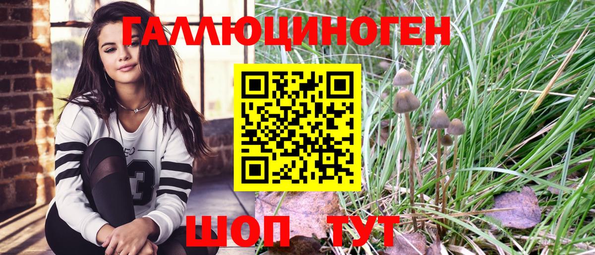 Псилоцибиновые грибы MAGIC MUSHROOMS  Вход с VPN  Воскресенск 