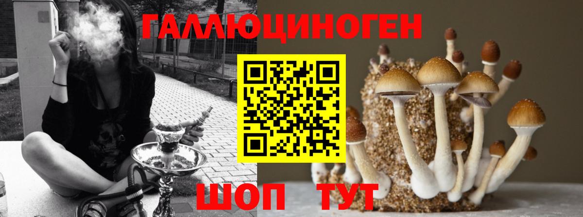 Галлюциногенные грибы GOLDEN TEACHER Воскресенск
